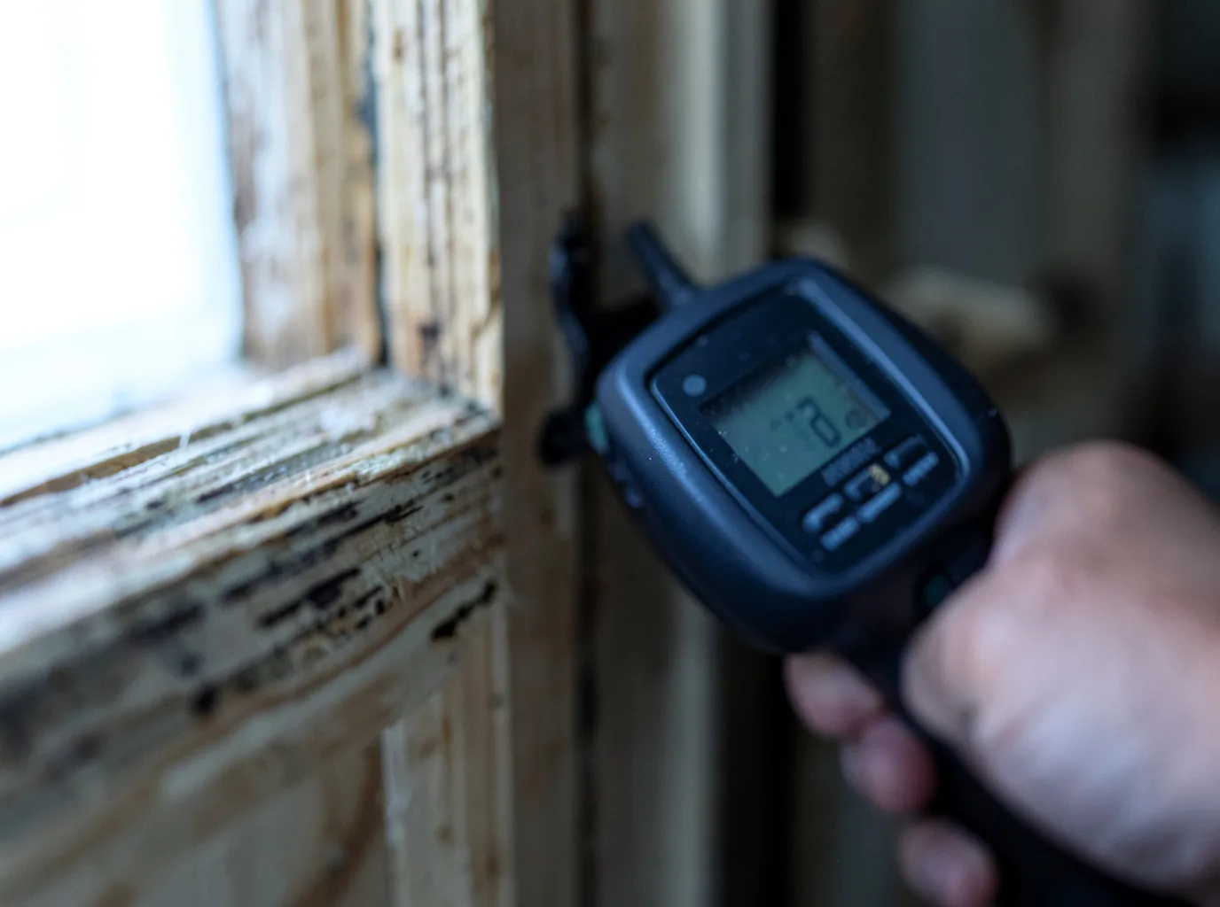 Moisture Inspection And Documentation in Philippi, WV